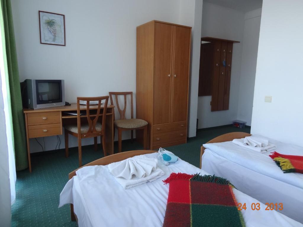 Alpenhof Pansion Hotel Slavske Værelse billede